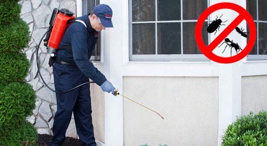 Yumurtalık Akrep İlaçlama böcek ilaçlama ve haşere kontrolü — ilaclama-tr.com